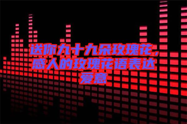 送你九十九朵玫瑰花，感人的玫瑰花語表達(dá)愛意