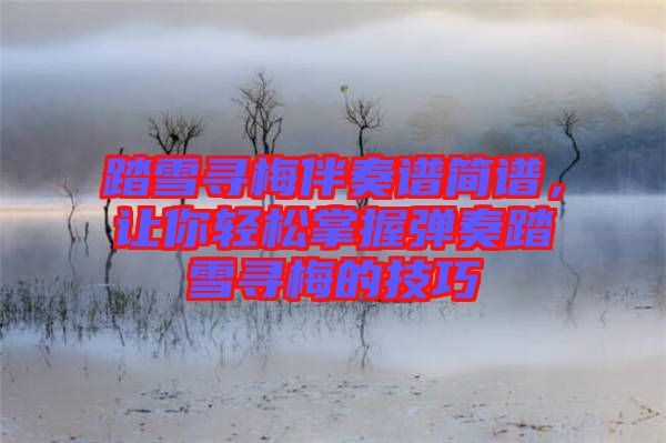 踏雪尋梅伴奏譜簡譜，讓你輕松掌握彈奏踏雪尋梅的技巧