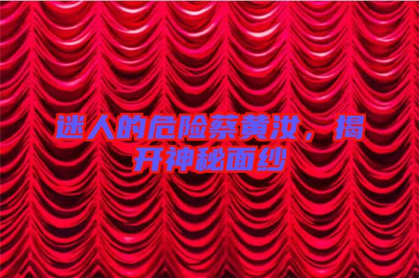 迷人的危險蔡黃汝，揭開神秘面紗