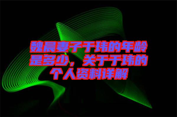 魏晨妻子于瑋的年齡是多少，關于于瑋的個人資料詳解