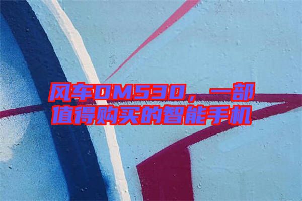 風(fēng)車DM530，一部值得購買的智能手機(jī)