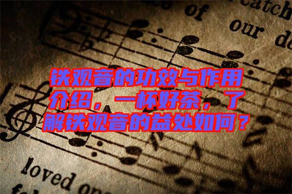鐵觀音的功效與作用介紹，一杯好茶，了解鐵觀音的益處如何？