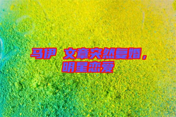 馬伊琍文章突然復婚，明星戀愛
