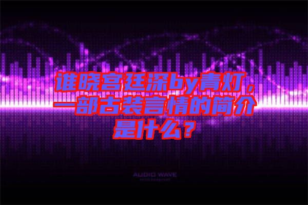 誰曉宮廷深by青燈，一部古裝言情的簡介是什么？