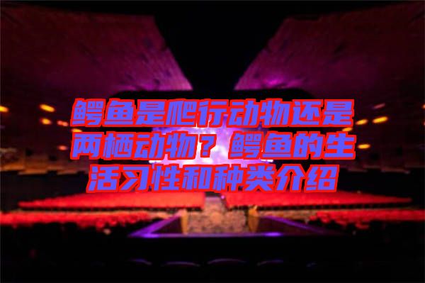 鱷魚是爬行動(dòng)物還是兩棲動(dòng)物？鱷魚的生活習(xí)性和種類介紹