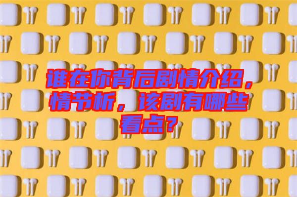 誰在你背后劇情介紹，情節(jié)析，該劇有哪些看點？