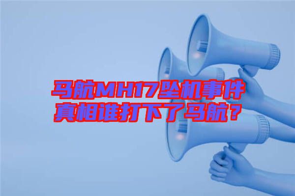 馬航MH17墜機事件真相誰打下了馬航？