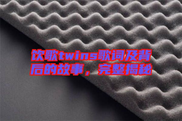 飲歌twins歌詞及背后的故事，完整揭秘
