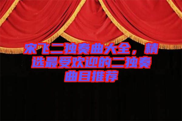 宋飛二獨(dú)奏曲大全，精選最受歡迎的二獨(dú)奏曲目推薦