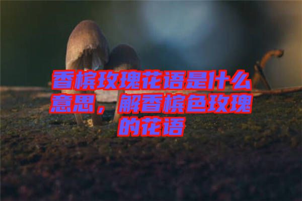 香檳玫瑰花語是什么意思，解香檳色玫瑰的花語