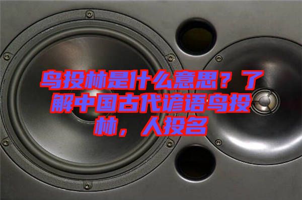 鳥投林是什么意思？了解中國古代諺語鳥投林，人投名