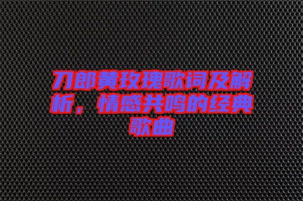 刀郎黃玫瑰歌詞及解析，情感共鳴的經(jīng)典歌曲