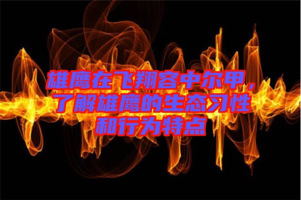 雄鷹在飛翔容中爾甲，了解雄鷹的生態(tài)習性和行為特點