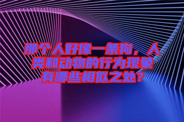 那個人好像一條狗，人類和動物的行為現(xiàn)象有哪些相似之處？