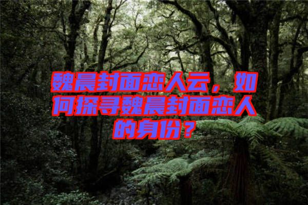 魏晨封面戀人云，如何探尋魏晨封面戀人的身份？