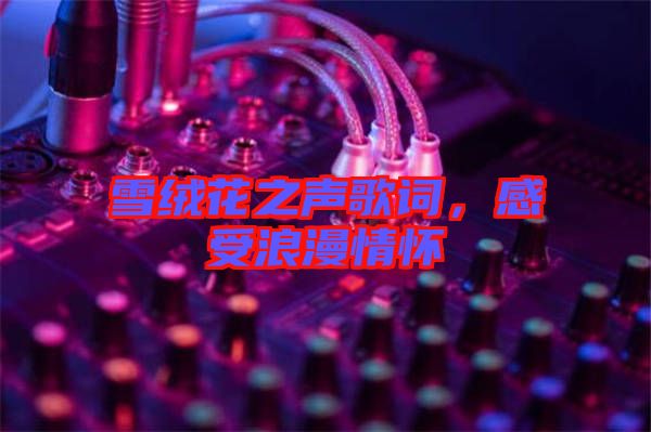 雪絨花之聲歌詞，感受浪漫情懷