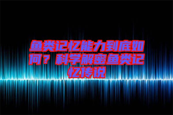 魚類記憶能力到底如何？科學解密魚類記憶傳說