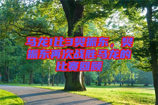馬龍1比3樊振東，樊振東再次戰(zhàn)勝馬龍的比賽回顧