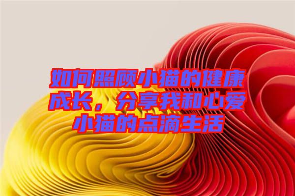 如何照顧小貓的健康成長(zhǎng)，分享我和心愛(ài)小貓的點(diǎn)滴生活