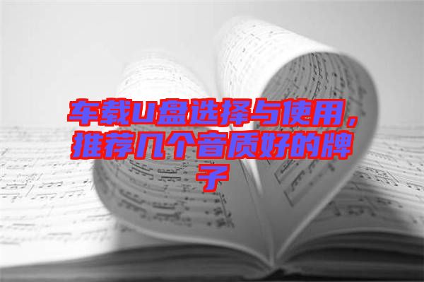 車載U盤選擇與使用，推薦幾個(gè)音質(zhì)好的牌子