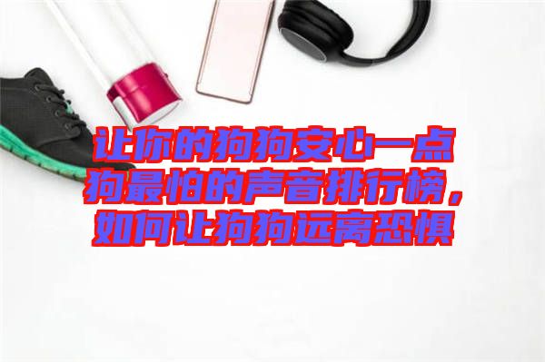 讓你的狗狗安心一點(diǎn)狗最怕的聲音排行榜，如何讓狗狗遠(yuǎn)離恐懼