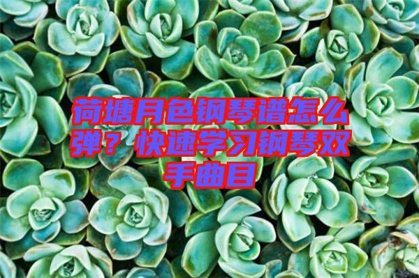 荷塘月色鋼琴譜怎么彈？快速學習鋼琴雙手曲目