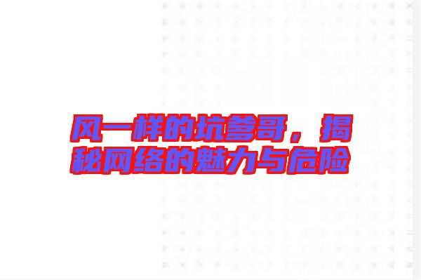 風(fēng)一樣的坑爹哥，揭秘網(wǎng)絡(luò)的魅力與危險
