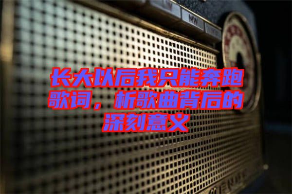 長大以后我只能奔跑歌詞，析歌曲背后的深刻意義