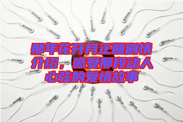 那年花開月正圓劇情介紹，感受那段動人心弦的愛情故事