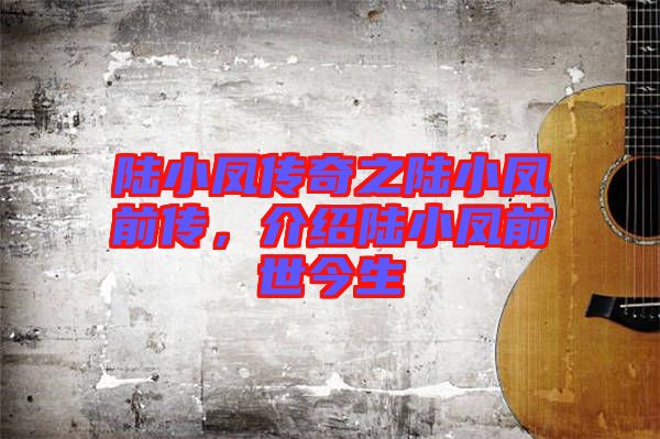 陸小鳳傳奇之陸小鳳前傳，介紹陸小鳳前世今生