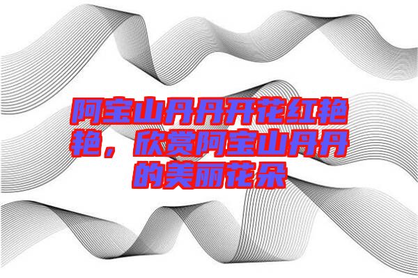 阿寶山丹丹開花紅艷艷，欣賞阿寶山丹丹的美麗花朵