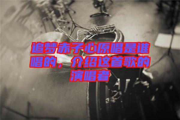 追夢(mèng)赤子心原唱是誰唱的，介紹這首歌的演唱者