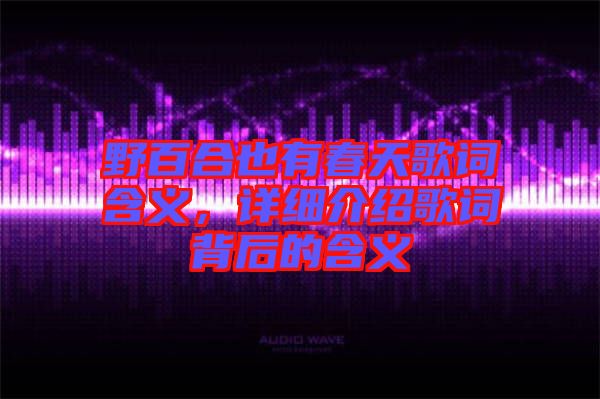 野百合也有春天歌詞含義，詳細介紹歌詞背后的含義