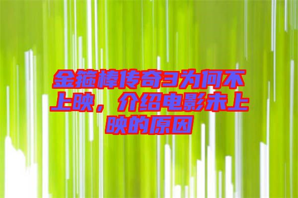 金箍棒傳奇3為何不上映，介紹電影未上映的原因